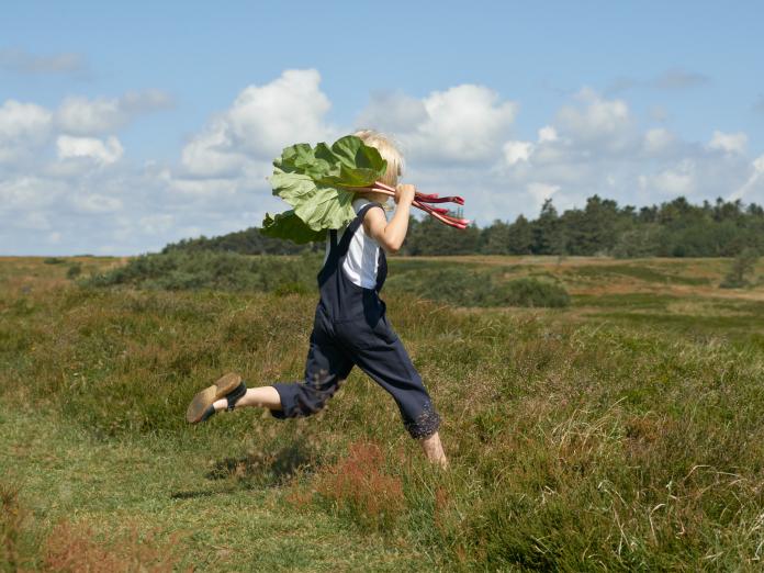 Klima Kokkerier_Karoline Trier