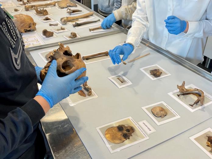 Elever undersøge 300 år gamle mennskeknogler fra en arkæologisk udgravning.