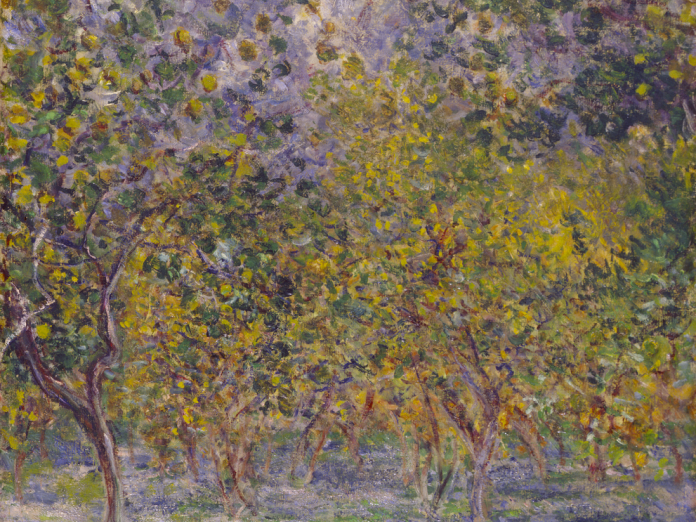 Citronlunden i Bordighera, 1884-1884. Claude Monet. Ny Carlsberg Glyptotek