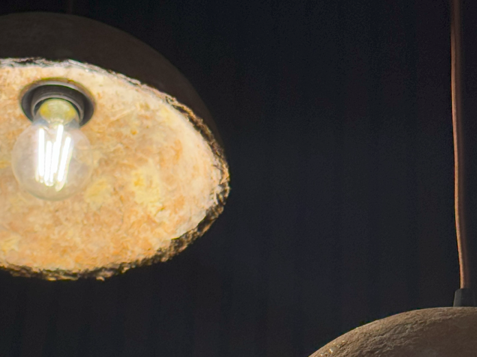 Mycelisk lampe