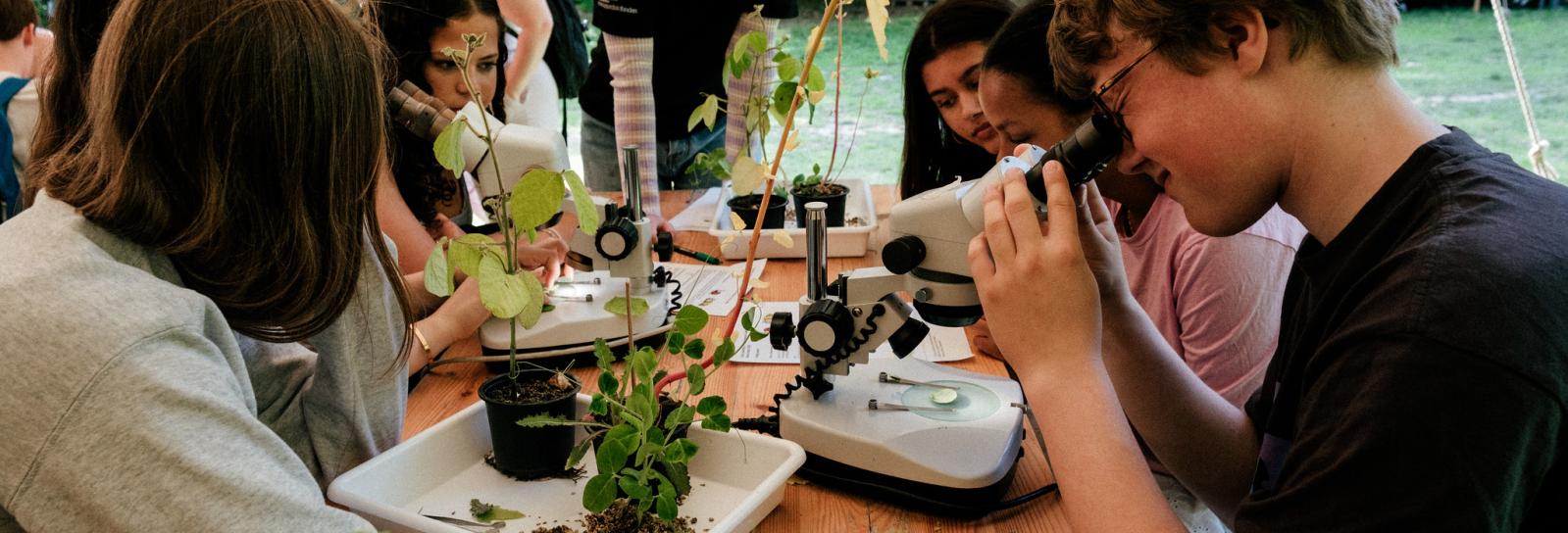 Bloom School - Elever der eksperimenterer med mikroskoper. 