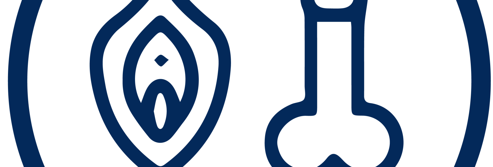 en vagina og en penis