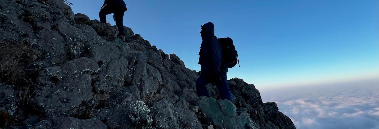 FØLG DRØMMEN - En Workshop om eventyr, drømme, valg og mod” 