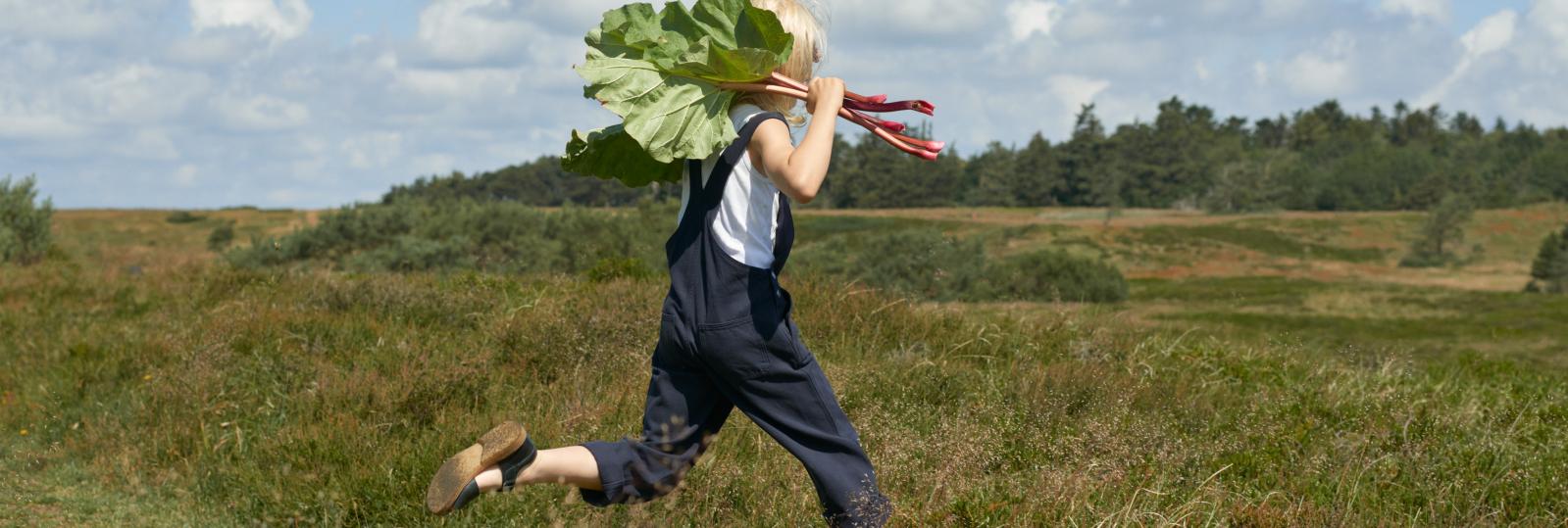 Klima Kokkerier_Karoline Trier