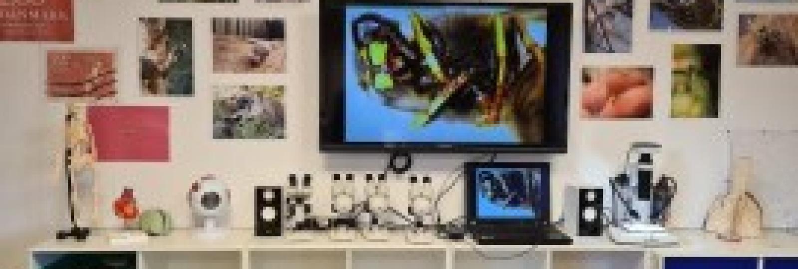 Gode rammer for naturstudier m.v. ...