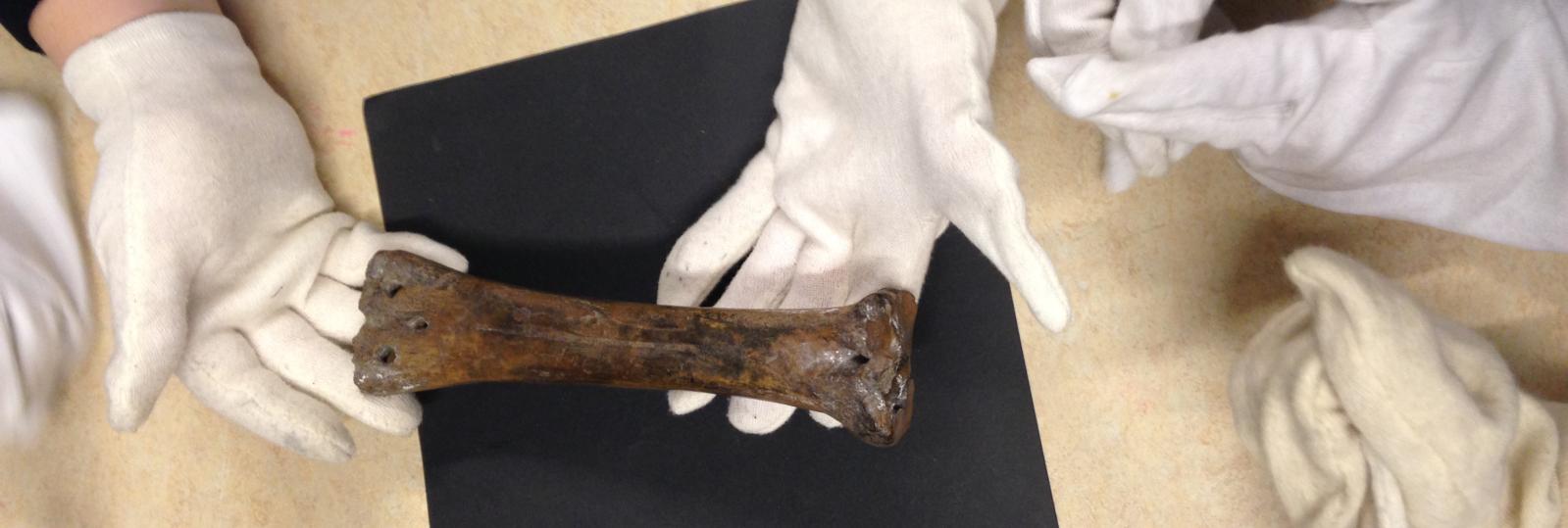 Undersøgelse af arkæologisk fund