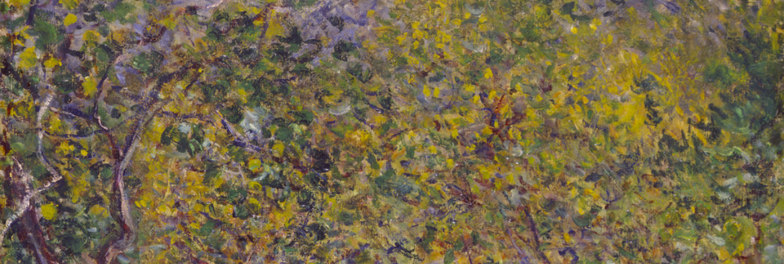 Citronlunden i Bordighera, 1884-1884. Claude Monet. Ny Carlsberg Glyptotek