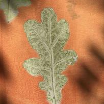 Botanisk tekstiltryk med egeblad.