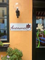 Foto af Anemonen