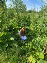 Børn dyrker skovlandbrug